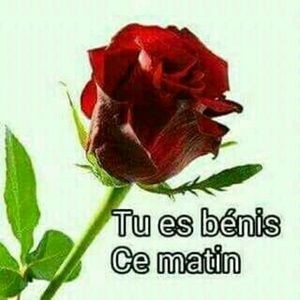 Meet your Posher, Pierre